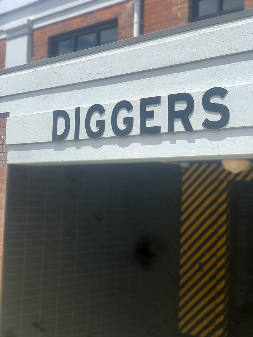 3D laser cut lettering spelling the word DIGGERS